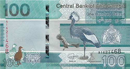 Gambia Pick-Nr: 41a bankfrisch (I) 2019 100 Dalasis (Banknoten für Sammler) von Generisch