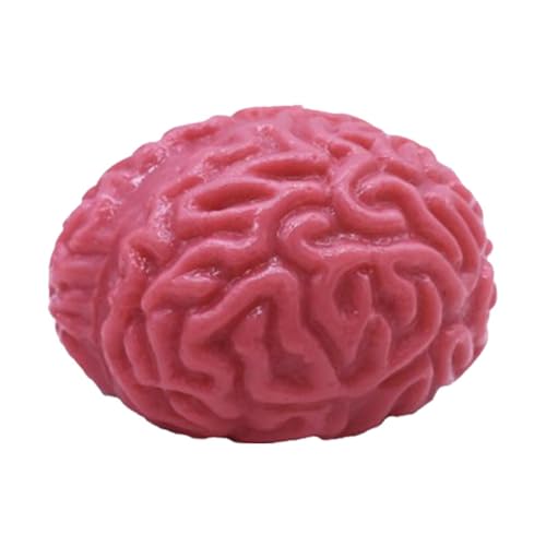 Gehirnförmige Stressbälle - Realistische Gefälschte Orgel, Blutiges, Gruseliges Halloween-Quetschspielzeug, Fördert Gesundes Denken Für Die Halloween-Party - Slow Rebound Halloween Squishy Toys von Generisch