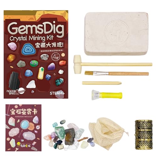 Gemstone Fossil Excavation Kit - Natural Rock Kit, Leichtes Dig -Spielzeug | Bildungsstammarchäologie -Kit mit Werkzeugen Pinsel, entdeckt versteckte Kristalle Fossilien lustige Fakten, Wissenschaft f von Generisch