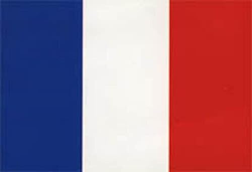 Generico Flagge Frankreichs 20 x 30 mm Zubehör Modell Schiff 37443 Generico Flagge Frankreichs 20 x 30 mm Zubehör Modell Schiff 37443 von Generisch