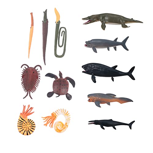 Generisch 1 Prähistorische Tiermodelle Das Tier Lebhafte Meereslebewesenfigur Fischfigur Kunsthandwerk Simuliertes Meerestier Imitiertes Tiermodell Tischdekoration Bunter Generisch 1 Prähistorische Tiermodelle Das Tier Lebhafte Meereslebewesenfigur Fischfigur Kunsthandwerk Simuliertes Meerestier Imitiertes Tiermodell Tischdekoration Bunter von Generisch