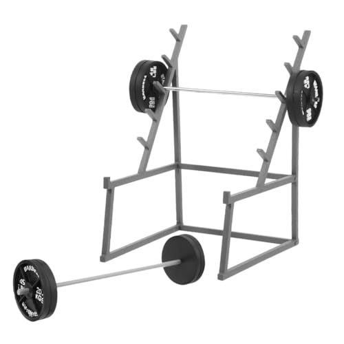 Generisch 1 Set Mini Barbell Puppenhaus Ornament Simulation Fitnessgeräte Modell Puppenhaus Versorgung Generisch 1 Set Mini Barbell Puppenhaus Ornament Simulation Fitnessgeräte Modell Puppenhaus Versorgung von Generisch
