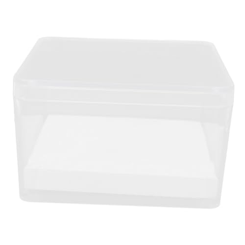 Generisch 1 Set Mini Pinning Insekten Display Box Klar Proben Halter Für Entomologie Klar Würfel Box Transparent Mineral Schaufenster Werkzeug von Generisch