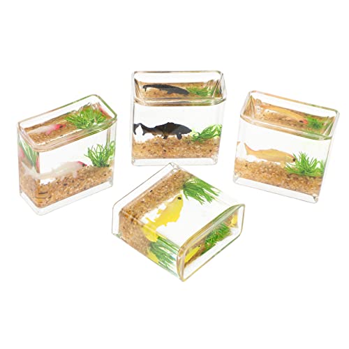 Generisch 4 Stück Puppenhaus Bücher Aquarium Mit Fischmodell Mini-hausversorgung Miniatur-szenendekor Mini-Aquarium- Aquarium Und Mini-fischdekor Küchentisch Mittelstücke Plastik von Generisch
