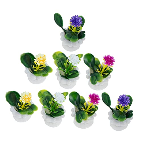 Generisch 8 Stück Mini Pflanzen Ornament Modell Künstliche Miniatur Puppenhausmöbel Miniatur Gartenzubehör Bonsai Künstliche Miniaturen Kunstpflanzen Innenbereich Generisch 8 Stück Mini Pflanzen Ornament Modell Künstliche Miniatur Puppenhausmöbel Miniatur Gartenzubehör Bonsai Künstliche Miniaturen Kunstpflanzen Innenbereich von Generisch