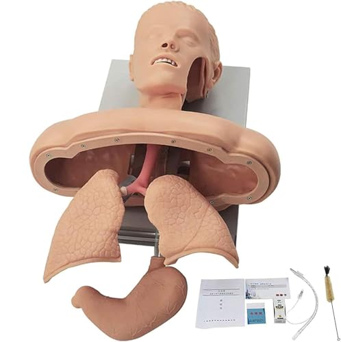 Generisch Advanced Oral Nasal Intubation Manikin,Intubation Manikin Airway Management Trainer,mit Zahn Alarm Gerät Simulator Airway Management Trainer Intubation Kopf Lehre Generisch Advanced Oral Nasal Intubation Manikin,Intubation Manikin Airway Management Trainer,mit Zahn Alarm Gerät Simulator Airway Management Trainer Intubation Kopf Lehre von Generisch