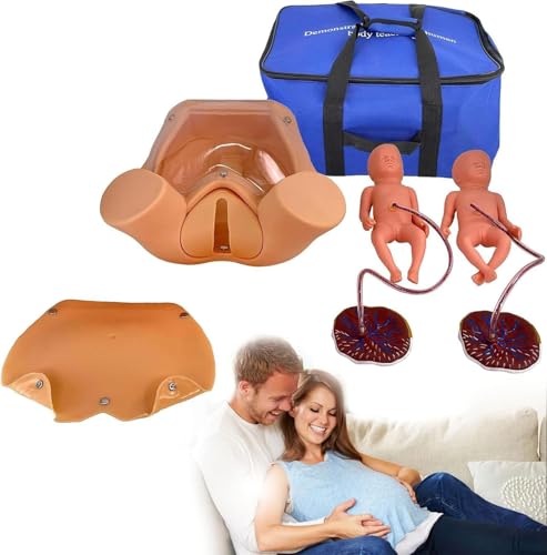 Generisch Anatomie Childbirth Simulator Manikin Childbirth Demonstration, Pelvic Anatomical Model Delivery Maternity Teaching Mold Includes Models of Baby Uterus Amniotic von Generisch