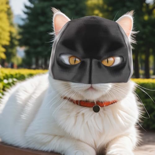 Generisch Batcat-Maske, Bat Maske für Katzen, Lustige Schwarze Fledermausmaske für Katzen, Katzenbekleidung Haustierkostüm für Halloween oder den Täglichen Spaß Generisch Batcat-Maske, Bat Maske für Katzen, Lustige Schwarze Fledermausmaske für Katzen, Katzenbekleidung Haustierkostüm für Halloween oder den Täglichen Spaß von Generisch