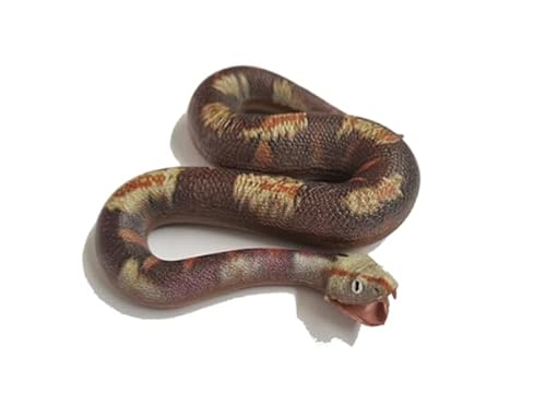 Generisch Blue Ocean Snakes Planet Wow Sammelfiguren 2024 - Figur 1 - Östliche Gabunviper Generisch Blue Ocean Snakes Planet Wow Sammelfiguren 2024 - Figur 1 - Östliche Gabunviper von Generisch