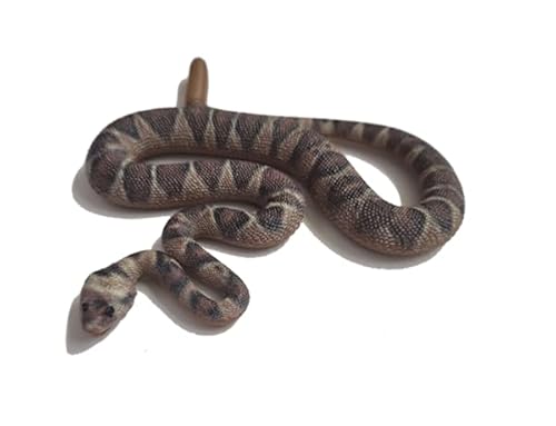 Generisch Blue Ocean Snakes Planet Wow Sammelfiguren 2024 - Figur 10 - Diamant Klapperschlange Generisch Blue Ocean Snakes Planet Wow Sammelfiguren 2024 - Figur 10 - Diamant Klapperschlange von Generisch