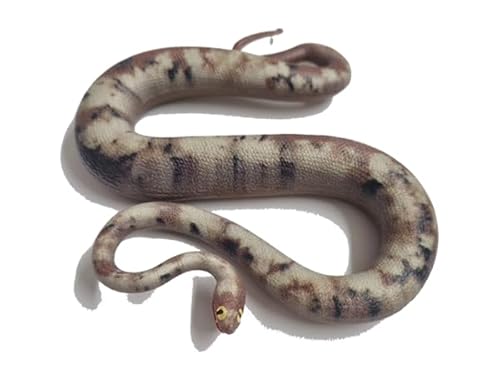 Generisch Blue Ocean Snakes Planet Wow Sammelfiguren 2024 - Figur 6 - Titanoboa Generisch Blue Ocean Snakes Planet Wow Sammelfiguren 2024 - Figur 6 - Titanoboa von Generisch