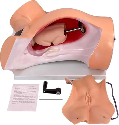 Generisch Childbirth Model Training Simulator, medizinische anatomische Fetus Modell, Geburt Demonstration umfasst Modelle von Baby Uterus für Studie Display Lehre Generisch Childbirth Model Training Simulator, medizinische anatomische Fetus Modell, Geburt Demonstration umfasst Modelle von Baby Uterus für Studie Display Lehre von Generisch