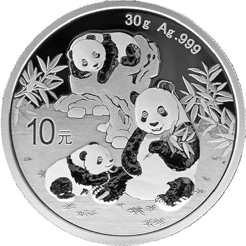 Generisch China Panda 30 Gramm Silbermünze 2025, 30 Gramm 999/1000 Feinsilber in Münzkapsel Generisch China Panda 30 Gramm Silbermünze 2025, 30 Gramm 999/1000 Feinsilber in Münzkapsel von Generisch