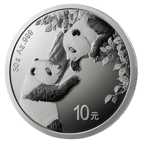 Generisch China Panda 30g Silbermünze 2023 999/1000 30g Silber von Generisch