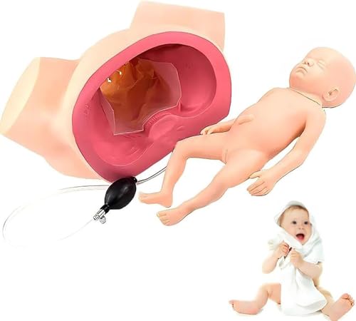 Generisch Demonstration Female Childbirth Simulator, Advanced Midwifery Training Model, Childbirth Demonstration Model with Fetal, Education and Study Model von Generisch