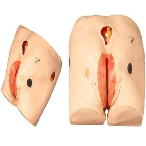 Generisch Erweiterte Dekubitus Krankenpflege Modell Senior Dekubitus Manikin Lehre menschlichen Simulator für Studenten Bildung Lehre medizinische Ausbildung Fähigkeiten Generisch Erweiterte Dekubitus Krankenpflege Modell Senior Dekubitus Manikin Lehre menschlichen Simulator für Studenten Bildung Lehre medizinische Ausbildung Fähigkeiten von Generisch