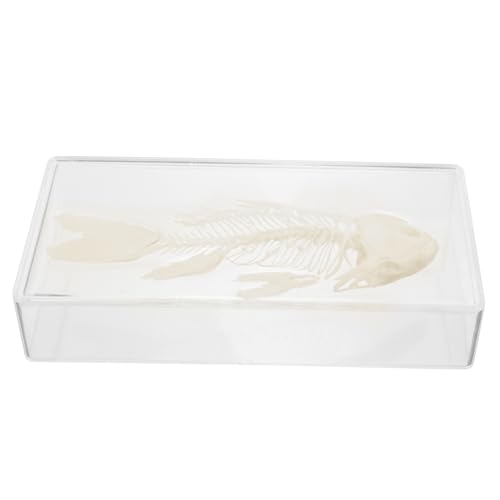 Generisch Exemplar Eines Fischskeletts Roboter Künstlich Stand Bausatz Modell Anlage Tank Gefälscht Schwebend Kleines Aquarium Perlen Aquarium Licht Tiere Plastik Generisch Exemplar Eines Fischskeletts Roboter Künstlich Stand Bausatz Modell Anlage Tank Gefälscht Schwebend Kleines Aquarium Perlen Aquarium Licht Tiere Plastik von Generisch