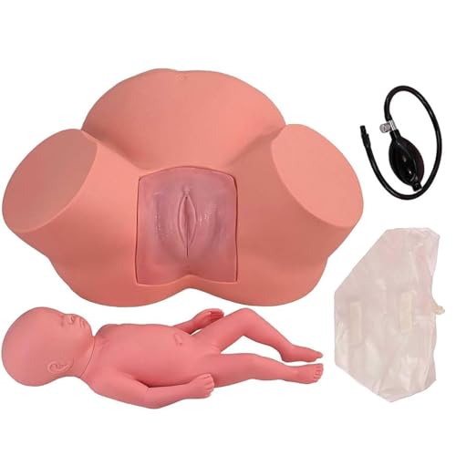 Generisch Hebammenausbildung Simulator Geburt Demo Weibliche Becken Fetus Modell Normale abnorme fötale Position Lieferung Manikin Lehrmodell von Generisch