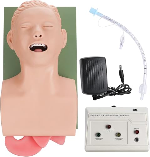 Generisch Intubationspuppe Lehrmodell, Elektronischer Trachealsimulator für Erwachsene, Mund-Nasen-Intubationspuppe PVC Intubationsmodell mit Endotrachealtubus von Generisch