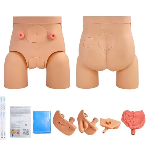 Generisch Katheterisierung Modell männlich weiblich austauschbar, Harnröhrenkatheter Krankenpflegepuppe PVC Anatomie Genitalien Modell für medizinische klinische Lehre Generisch Katheterisierung Modell männlich weiblich austauschbar, Harnröhrenkatheter Krankenpflegepuppe PVC Anatomie Genitalien Modell für medizinische klinische Lehre von Generisch