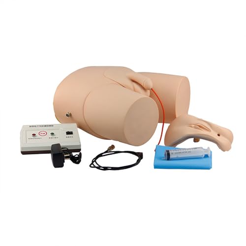 Generisch Krankenpflege medizinische Ausbildung männlich und weiblich elektronische Harnkatheterisierung Lehrmodell Krankenpflege Praxis Simulator, austauschbar männlich und weiblich Manikin von Generisch