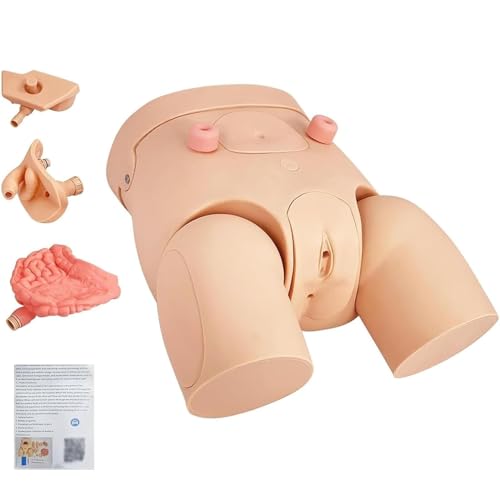 Generisch Männlich weiblich austauschbar Katheterisierung Modell, Krankenpflege Praxis Harnröhrenkatheter Manikins PVC Lehre Katheter Modell für medizinische klinische Lehre Generisch Männlich weiblich austauschbar Katheterisierung Modell, Krankenpflege Praxis Harnröhrenkatheter Manikins PVC Lehre Katheter Modell für medizinische klinische Lehre von Generisch