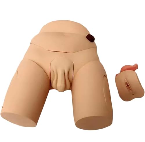 Generisch Manikin Lehrmodell - männlich/weiblich Katheterisierung Ausbildung Simulator austauschbar Katheterisierung Mannequin - Reproduktionssystem Anatomie Krankenpflege von Generisch