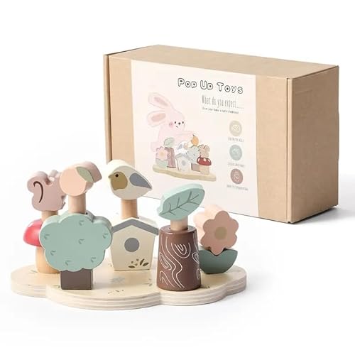 Generisch Montessori Spielzeug aus Holz für Babys ab 1 Jahr, 2 Jahren, Stapelspiel, Sortierspiel, nachhaltiges Lernspielzeug zur Förderung von Feinmotorik & Kreativität, für Jungen Mädchen von Generisch