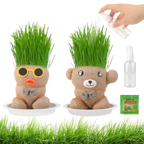 Generisch Neu Graskopf Puppenpflanze, Pflanzset Kinder mit Gratis Profi-Nährlösung, 2pcs Wachsende Graskopf Kinder, Mini Bonsai Gras Kopf Figure Puppen, Pflanzset für Schnelleres Graswachstum Generisch Neu Graskopf Puppenpflanze, Pflanzset Kinder mit Gratis Profi-Nährlösung, 2pcs Wachsende Graskopf Kinder, Mini Bonsai Gras Kopf Figure Puppen, Pflanzset für Schnelleres Graswachstum von Generisch