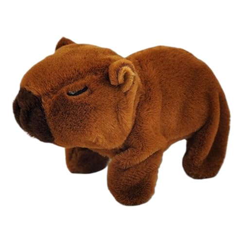 Generisch Plüsch Capybara Puppe, Capybara Stoffed Puppe,Nettes ausgestopftes Tier Figur Kissen | Bequeme Berührung Plüsch Capybara Puppe für Mädchen Kinder von Generisch
