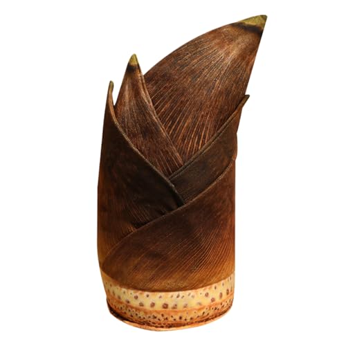 Generisch Plüsch Pflanzen Kissen - Niedliches Plüschpflanzen Kuschelkissen Für Kinder - Sammelbare Stofftiere Modell Wohnaccessoire Schlafbegleiter Für Tisch Bett Wohnzimmer Generisch Plüsch Pflanzen Kissen - Niedliches Plüschpflanzen Kuschelkissen Für Kinder - Sammelbare Stofftiere Modell Wohnaccessoire Schlafbegleiter Für Tisch Bett Wohnzimmer von Generisch