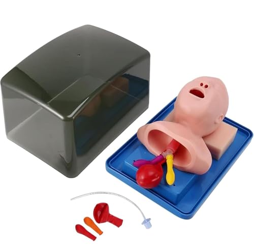 Generisch Säuglings-Intubations-Trainer, PVC Advanced Tracheal Intubation Model, Pediatric Intubation Manikin, Tracheal Child &Infant Airway Management Trainer für Intubation Training Generisch Säuglings-Intubations-Trainer, PVC Advanced Tracheal Intubation Model, Pediatric Intubation Manikin, Tracheal Child &Infant Airway Management Trainer für Intubation Training von Generisch