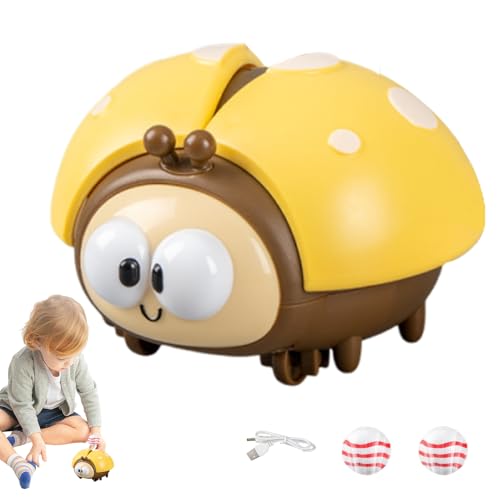 Generisch Schwimmendes Ballspielzeug - ABS Ladybug suspendiertes Baall -Spielzeug | Lady- Airball Ttoy | Interactive Toyy LadyBbugs Ballls Blower | Süße Tierladdybug Floatiing Baalll -Spiel Generisch Schwimmendes Ballspielzeug - ABS Ladybug suspendiertes Baall -Spielzeug | Lady- Airball Ttoy | Interactive Toyy LadyBbugs Ballls Blower | Süße Tierladdybug Floatiing Baalll -Spiel von Generisch