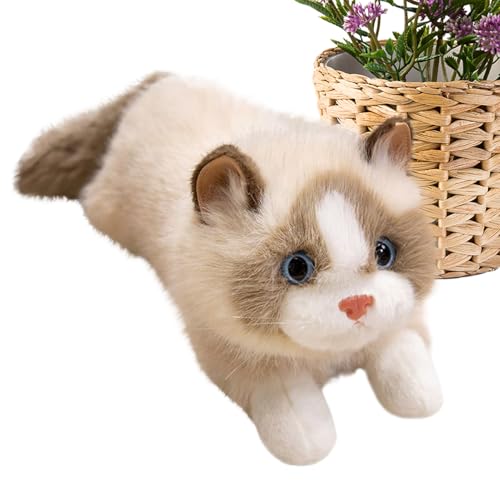Generisch Stofftier Katze,Stofftier Katze Plüschtier Niedliche Puppe - Interaktives Spielzeug Mit Sound Für Kinderzimmer Deko Mädchen Schlafzimmer Wohnzimmer Generisch Stofftier Katze,Stofftier Katze Plüschtier Niedliche Puppe - Interaktives Spielzeug Mit Sound Für Kinderzimmer Deko Mädchen Schlafzimmer Wohnzimmer von Generisch