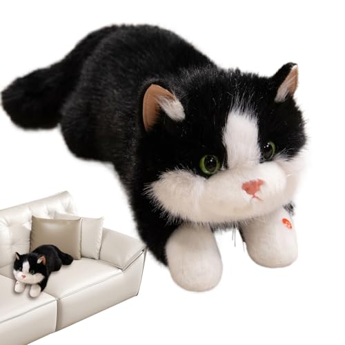 Generisch Süße Katze Plüsch | Plüschtiere Katze Spielzeug - Interaktives Spielzeug Mit Sound Für Kinderzimmer Deko Mädchen Schlafzimmer Wohnzimmer von Generisch