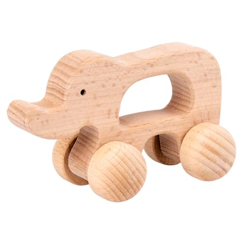 Generisch Tiere Holzspielzeug Autos Montessori Spielzeug für Babys 0-12 Monate Kleinkinder 1-3 Jahre Holz Baby Spielzeug 1+ Jahr Baby Push Cars Kinderzimmer Dekor von Generisch