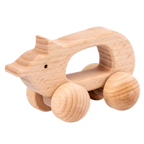 Generisch Tiere Holzspielzeug Autos Montessori Spielzeug für Babys 0-12 Monate Kleinkinder 1-3 Jahre Holz Baby Spielzeug 1+ Jahr Baby Push Cars Kinderzimmer Dekor von Generisch