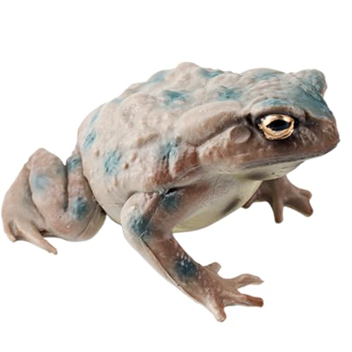 Generisch Toad Toy Figur - 6.2x4,9x3,2 cm PVC - Froschfiguren lustiges Spielzeug für Kinder | Mini Tiermodell | Bildungsreptil | Kognitiver Lernspielzeug für Klassenzimmer von Generisch