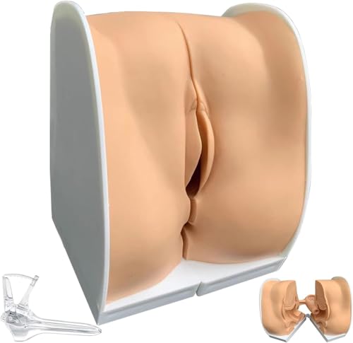 Generisch Weibliche Gynäkologie Manikin Modell, Weibliche Genitalien Anatomie Modell Human Model Iud Ausbildung Modell mit genauen Anatomie Struktur geeignet für Lehre und Präsentation Generisch Weibliche Gynäkologie Manikin Modell, Weibliche Genitalien Anatomie Modell Human Model Iud Ausbildung Modell mit genauen Anatomie Struktur geeignet für Lehre und Präsentation von Generisch