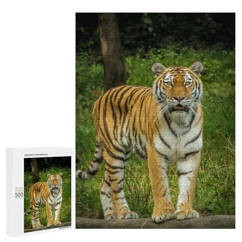 Gestreiftes Predator 500 Teile Set Holzpuzzle - Hartholz, perfekte Geschicklichkeitsentwicklung für Paare von Generisch