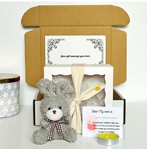 Hase Pocket Hug, Mini Bunny Hug Cute Easter Gift, Pocket Plush Rabbit Gift Box with Poem Card, Cute Handmade Emotional Support Bunnys, Gift for Women,Teachers, Friends (#B) von Generisch