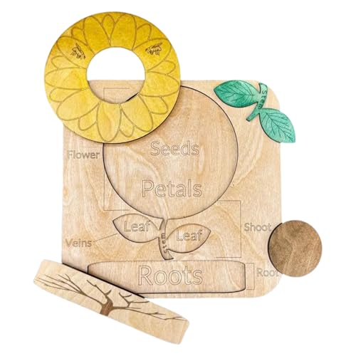 Holzpuzzle - Holzspielzeug Für Kleinkinder Ab 1 Jahr | Wiederverwendbares & Abnehmbares Ästhetisches Spielzeug Für Mädchen Eltern Familie Freunde Fesselnder Spielspaß Holzpuzzle - Holzspielzeug Für Kleinkinder Ab 1 Jahr | Wiederverwendbares & Abnehmbares Ästhetisches Spielzeug Für Mädchen Eltern Familie Freunde Fesselnder Spielspaß von Generisch