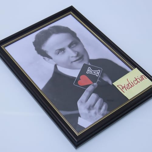 Houdini 52 Prediction Magic Tricks Chosen Card Prediction Magic Ultimate Interactive Stage Illusions Gimmicks Mentalismus Requisiten von Generisch