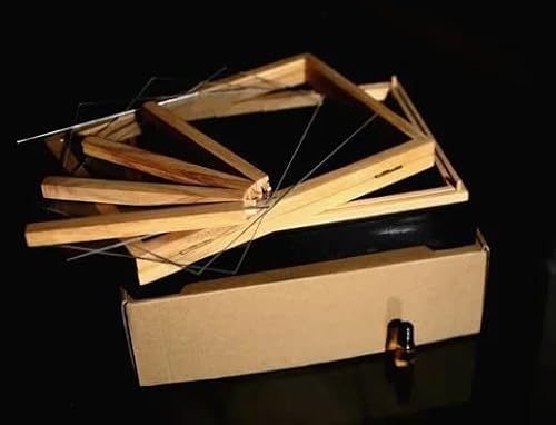 Illusion Spardose Wunderbox Traumbox Zaubertricks Spaß Bühne Mentalismus Gimmick Requisiten Objekte Geld erscheinen aus Leerbox Magie für Zauberer von Generisch