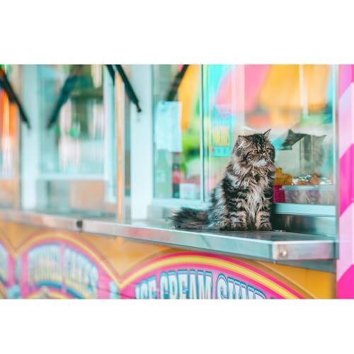 Jigsaw Puzzle 1000 Teile für Erwachsene, Niedliche Katze, Farbenfrohes Legespiel, Pädagogisches Spiel Herausforderung Spielzeug, Impossible Geschicklichkeitsspiel für die Ganze Familie Jigsaw Puzzle 1000 Teile für Erwachsene, Niedliche Katze, Farbenfrohes Legespiel, Pädagogisches Spiel Herausforderung Spielzeug, Impossible Geschicklichkeitsspiel für die Ganze Familie von Generisch