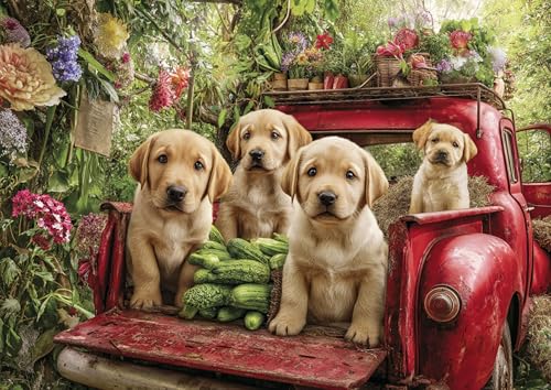 Jigsaw Puzzle 500 Teile, Niedlicher Hund, Klassische Puzzles, Pädagogisches Spiel Herausforderung Spielzeug, Puzzlespiele für Die Ganze Familie(500PCS) von Generisch