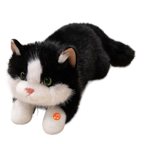 Katzen Kuscheltier, Niedliches Kuscheltier Katze Plüschpuppe, Weiches Spielzeug Mit Sound Für Kinder Wohnzimmer Kinderzimmer Deko Geburtstag Weihnachten Partymitgebsel Katzen Kuscheltier, Niedliches Kuscheltier Katze Plüschpuppe, Weiches Spielzeug Mit Sound Für Kinder Wohnzimmer Kinderzimmer Deko Geburtstag Weihnachten Partymitgebsel von Generisch