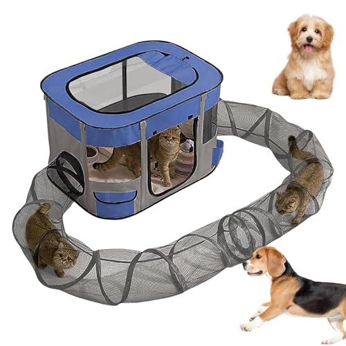 Katzentunnel Outdoor | Tragbares Zelt Kleintiere Tunnel - Einfache Einrichtung Geräumiger Kätzchen Spielplatz für Garten Rasen Hof Balkon Katzentunnel Outdoor | Tragbares Zelt Kleintiere Tunnel - Einfache Einrichtung Geräumiger Kätzchen Spielplatz für Garten Rasen Hof Balkon von Generisch