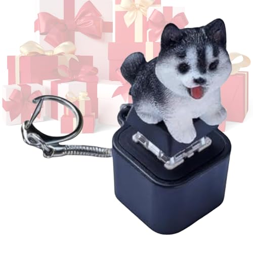 Keyboard Fidget | Stress Relief Clicker | Portable Cat Meow Dog Bark Sound LED Lights | Finger Keyring for Adults Boy Girl Family Travel Backpack Offices School von Generisch