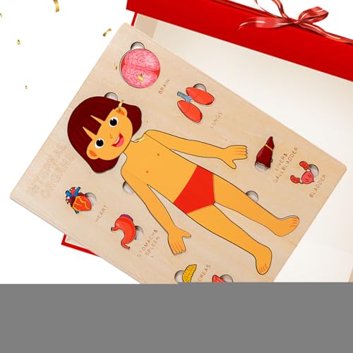 Kinder Anatomie Spielzeug, Pädagogisches Holzpuzzle Vom Menschlichen Körper, Wissenschaftliches Spielzeug Für Kleinkinder Und Kinder Mädchen Kindergarten Schule Unterricht von Generisch
